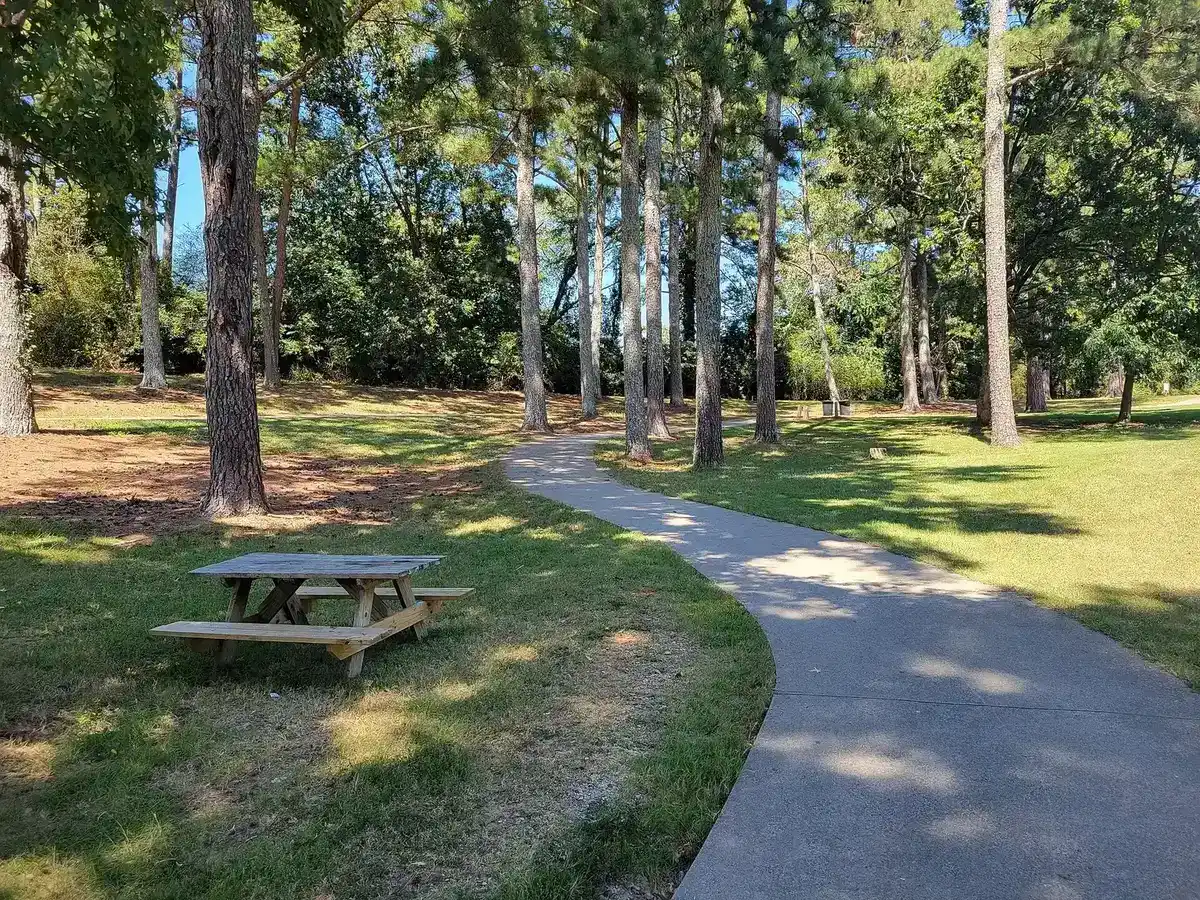 A paved path and picnic table under the pines at Shorty Howell Park in Duluth