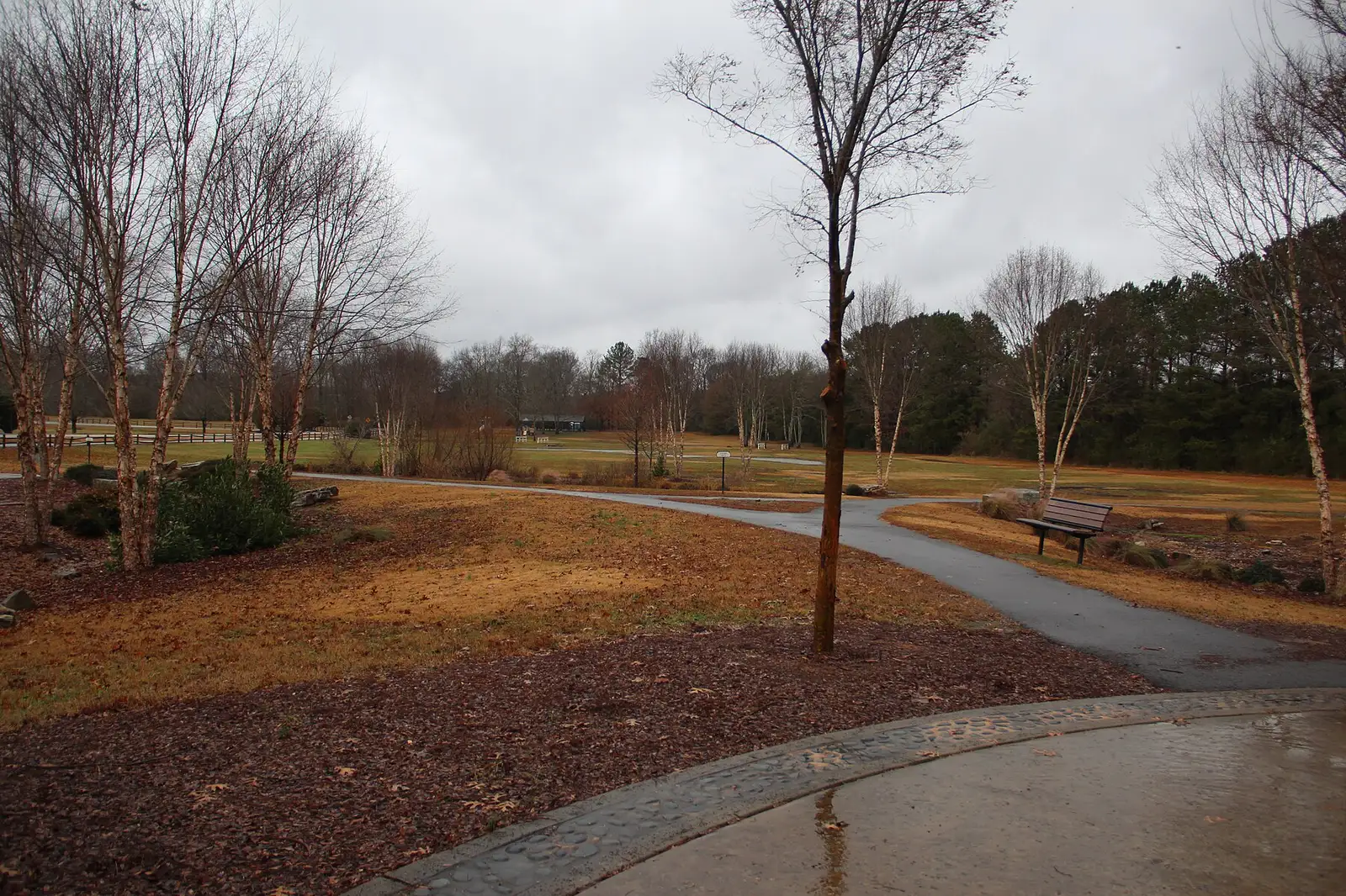 A path through Rogers Bridge Park on Rogers Bridge Road, on the Chattahoochee River in Duluth